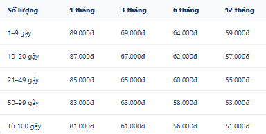 Bảng giá 12 tháng